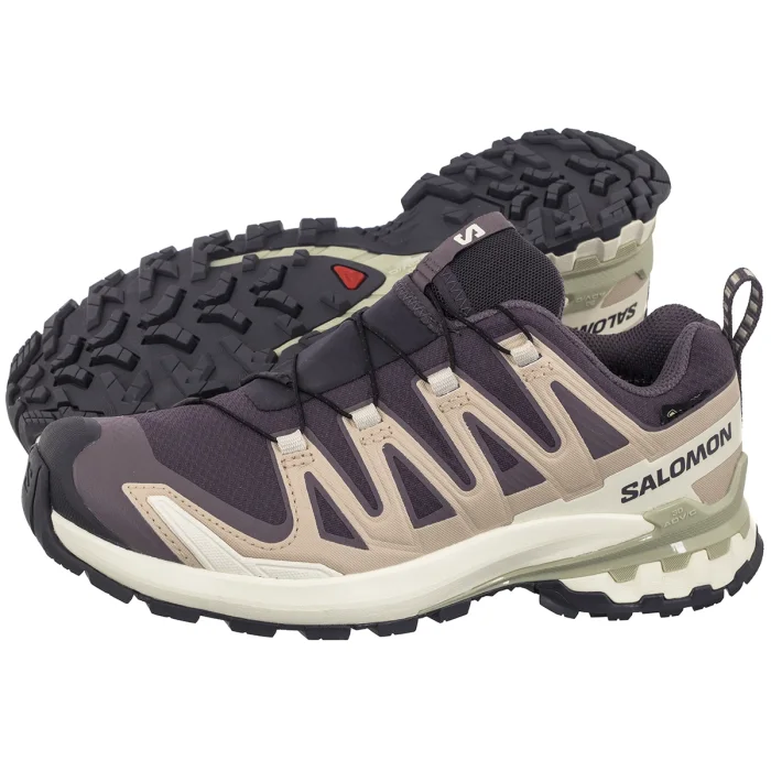 Buty Trekkingowe Salomon XA Pro 3D V9 Gtx W Nine Iron/Oxford Tan/Alfalfa 477447 – zdjęcie 1