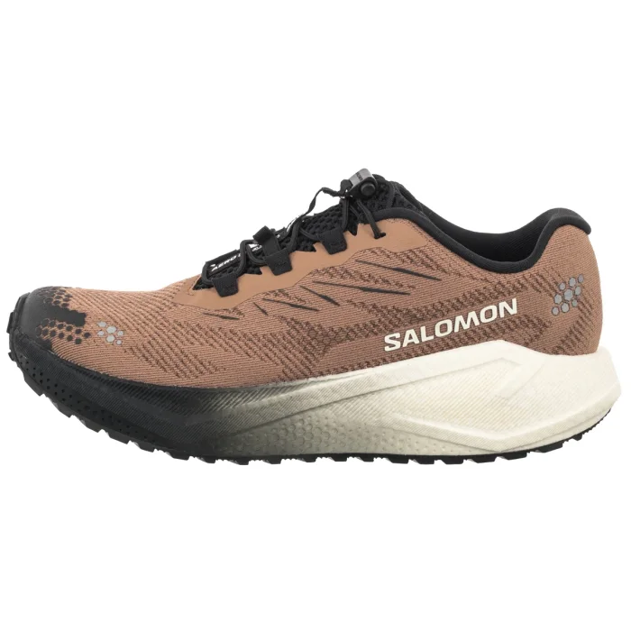 Buty do Biegania Salomon Aero Blaze 4 GRVL Burro/Vanilla Ice/Black 454005 – zdjęcie 2