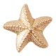 Przypinka Crocs Jibbitz Gold Star Fish G1033700-MU - małe zdjęcie